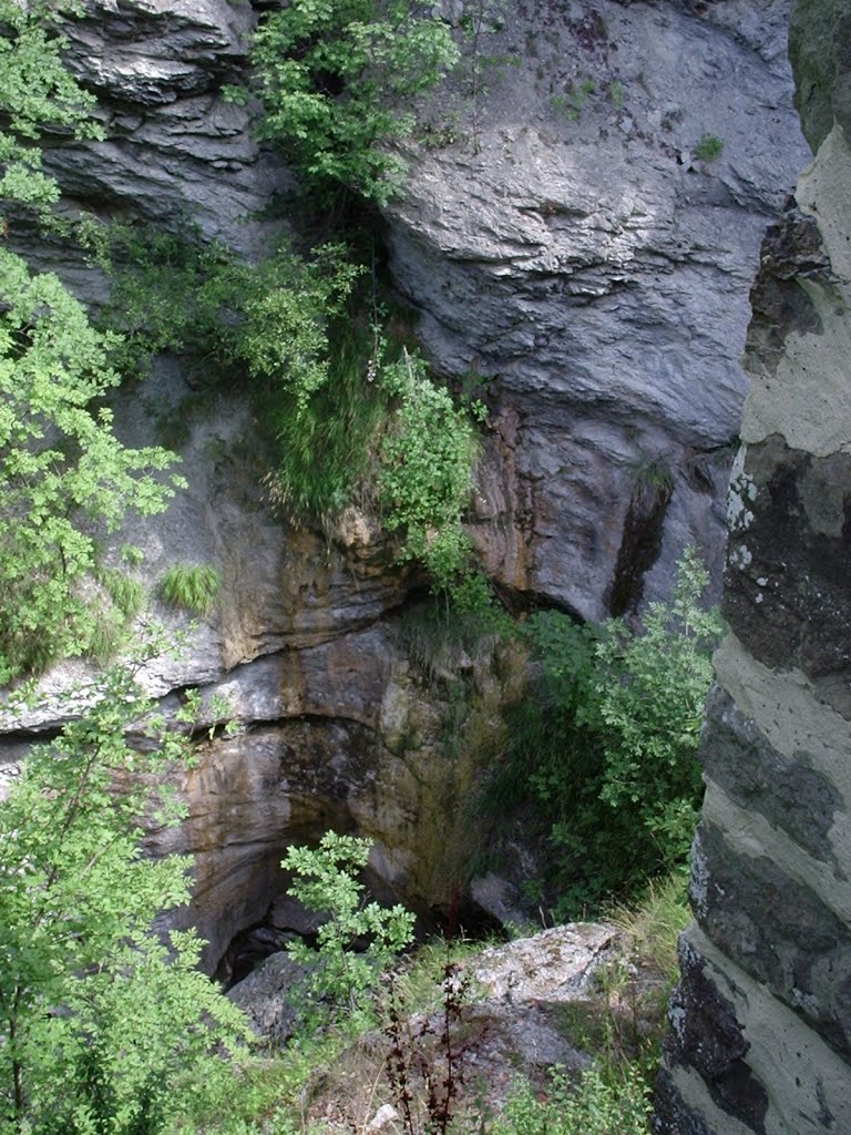 Riolunato, canyon del rio Lezza, 2, Ago.08 by Livio Casarini