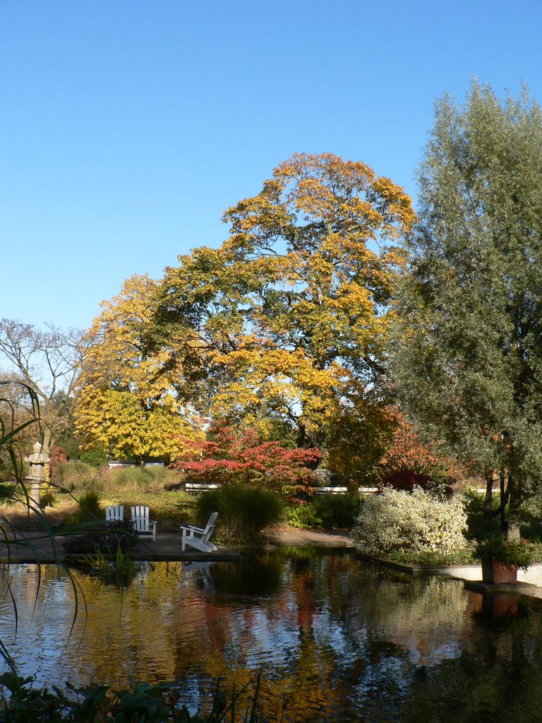 Planten un Blomen im Herbst 2007 by Carola Prigge