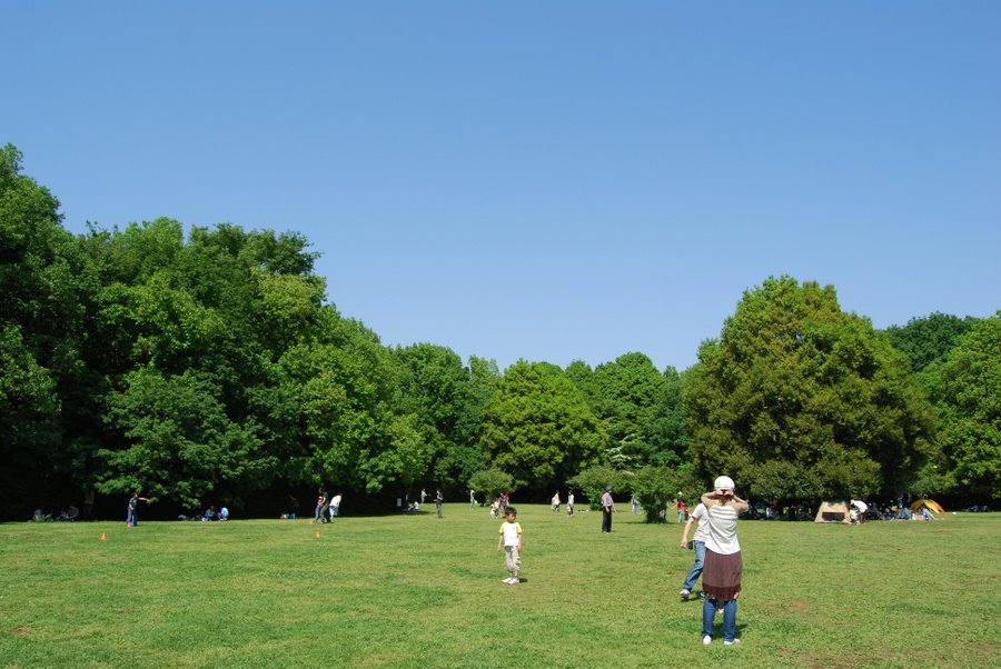 「東高根森林公園」 by su-