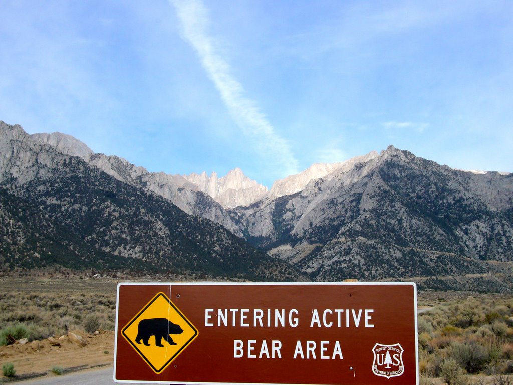 Mount Whitney from Lone Pine by mickey.brittain