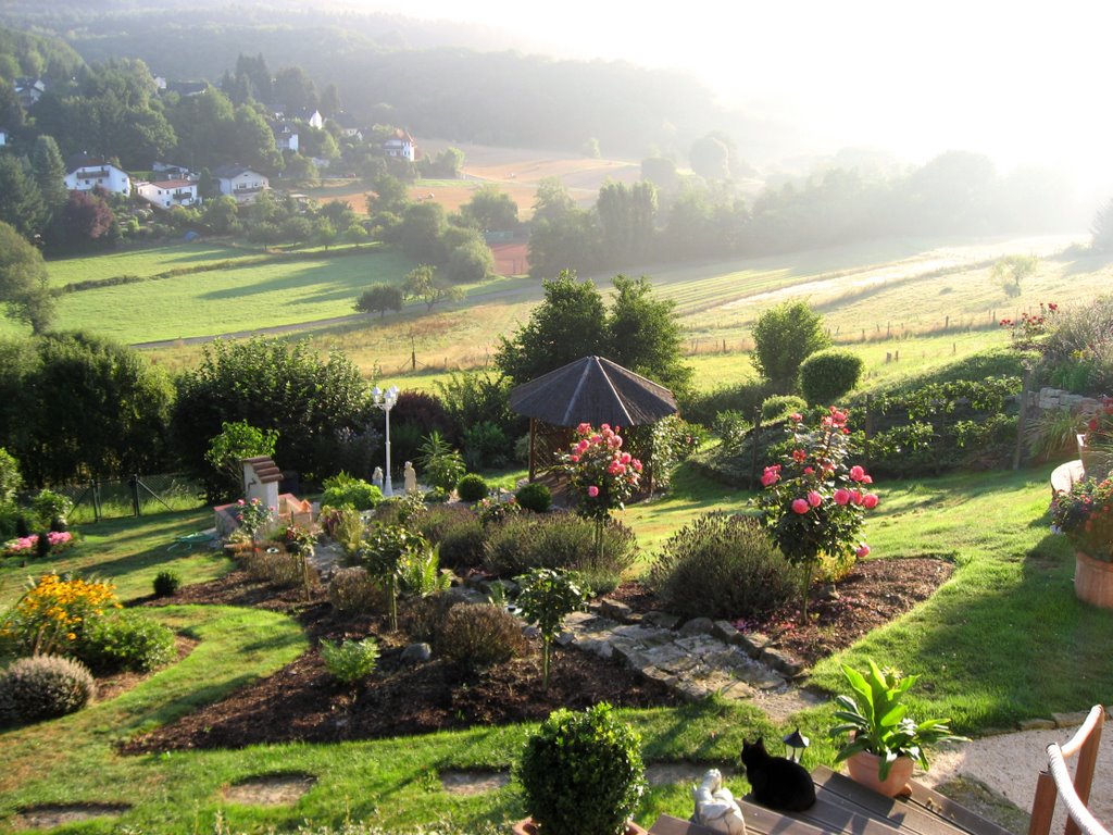 Our garden at a summer morning by Domingo Vázquez