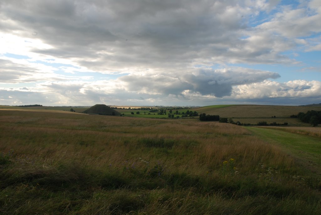 View of Silbury Hill from West Kennet Long Barrow by jimimk2