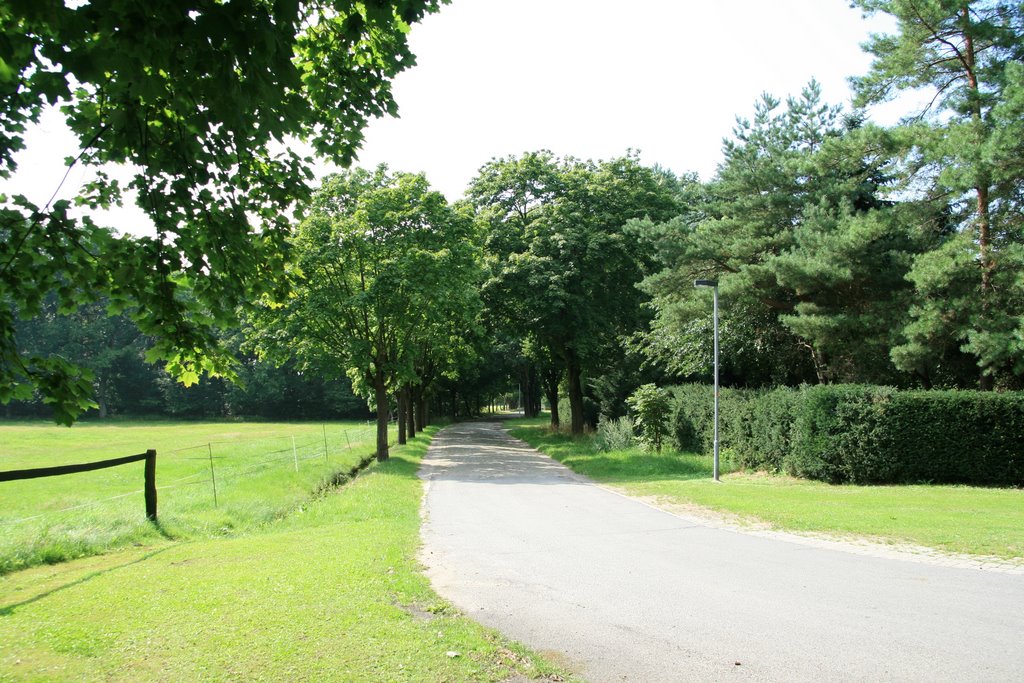 Stedden Weg zum Elshof (2008-08-08) by wolfvonstedden