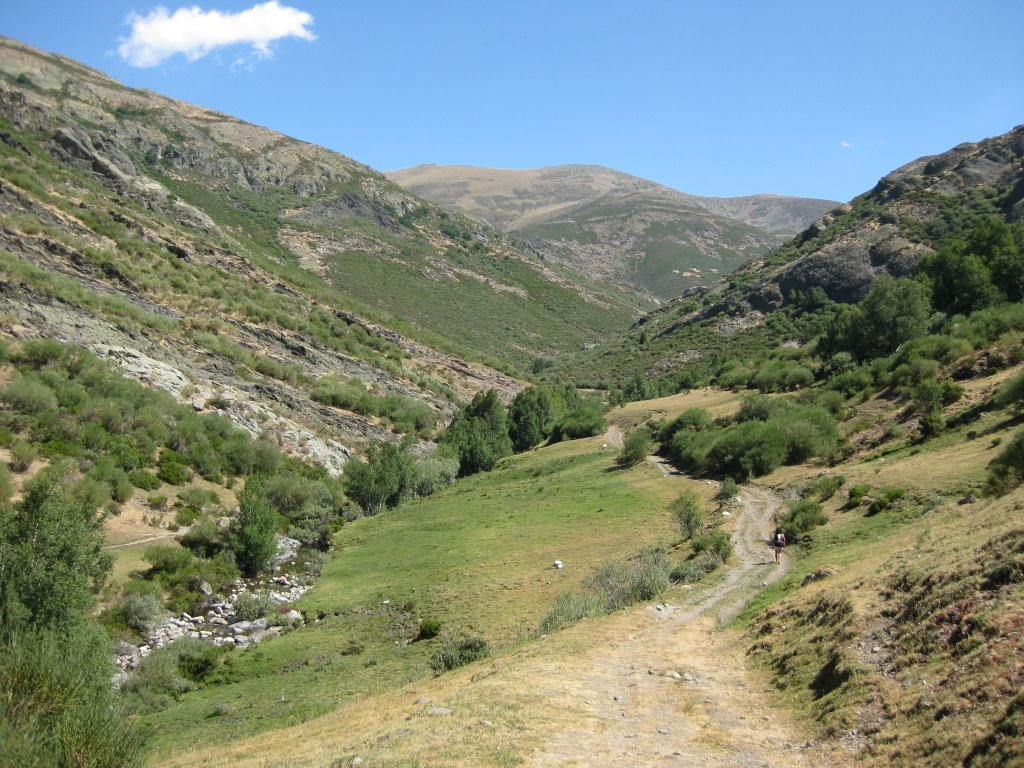 Palencia - Cardaño de Arriba - Camino al Pozo de las Lomas (1) by Alberto González García