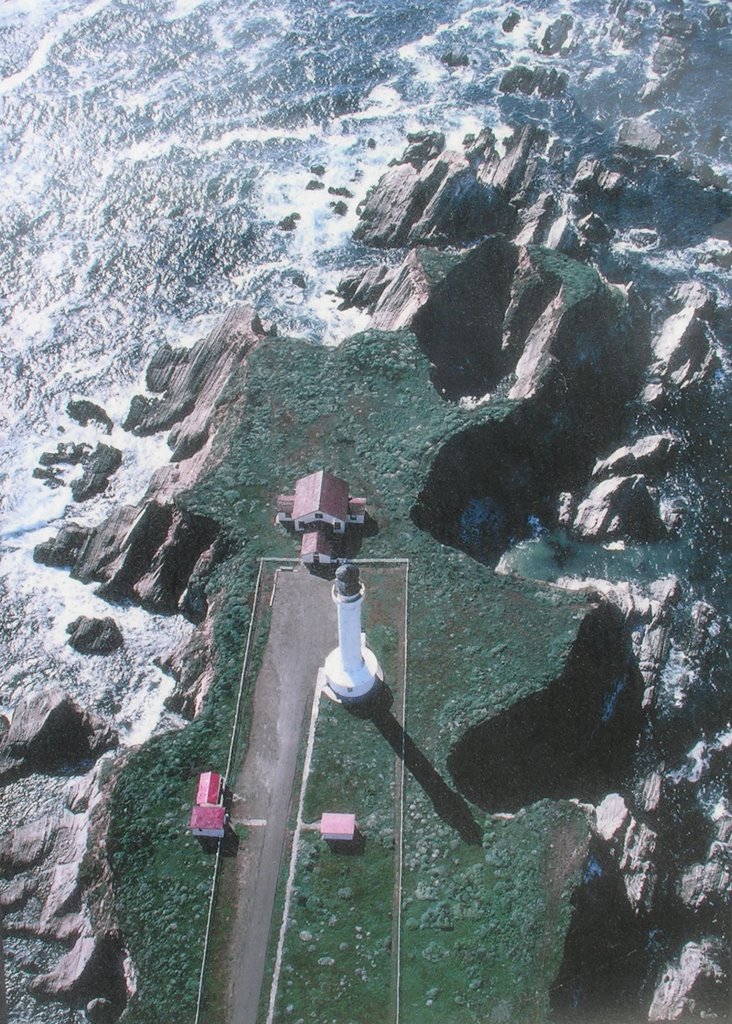 Point Arena Lighthouse, California - aerial view by daviesuk