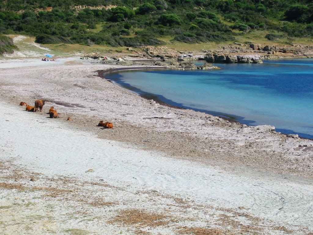 Spiaggia di Piscinnì by Fritz Tschamper