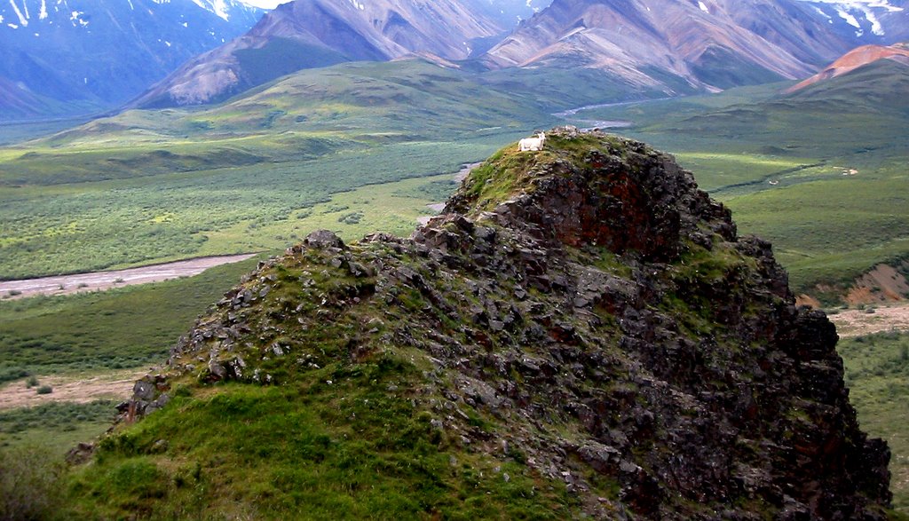 Denali National Park, Polychrome Pass by Michael Kane