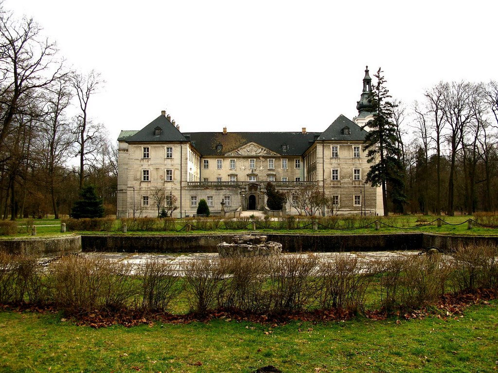 Zabór palace by tb808