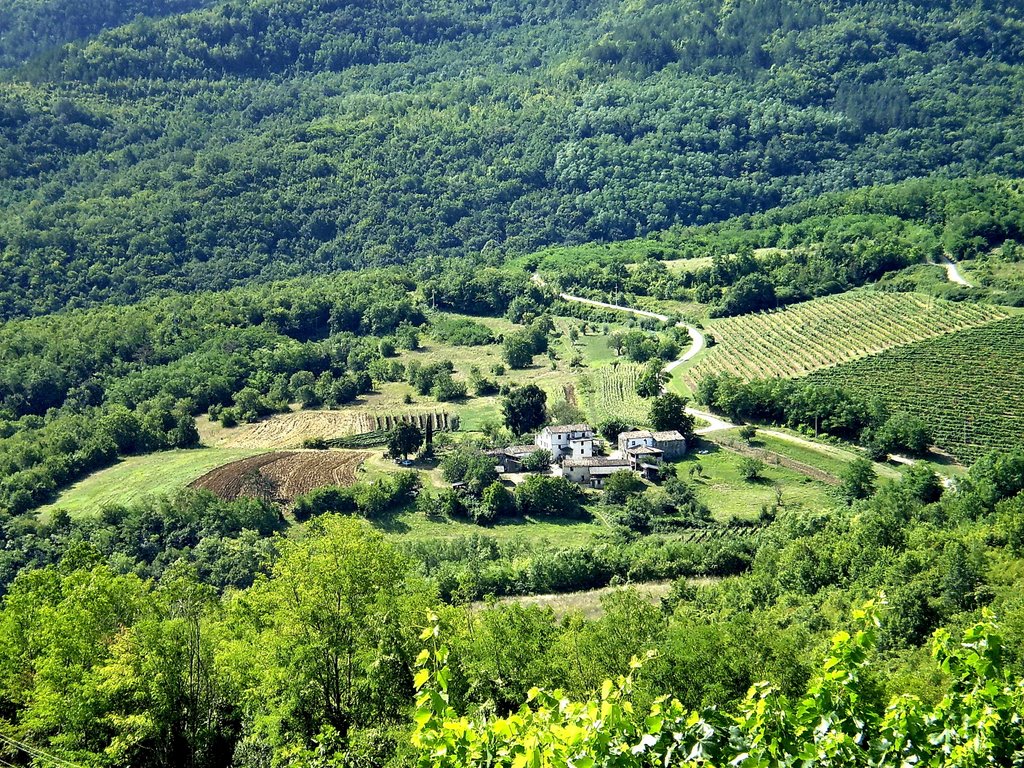 Little village near Motovun by Gordana Kvajo