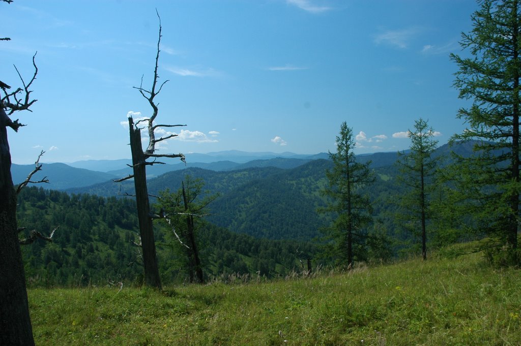 Shebalinsky District, Altai Republic, Russia by Игорь Гришин