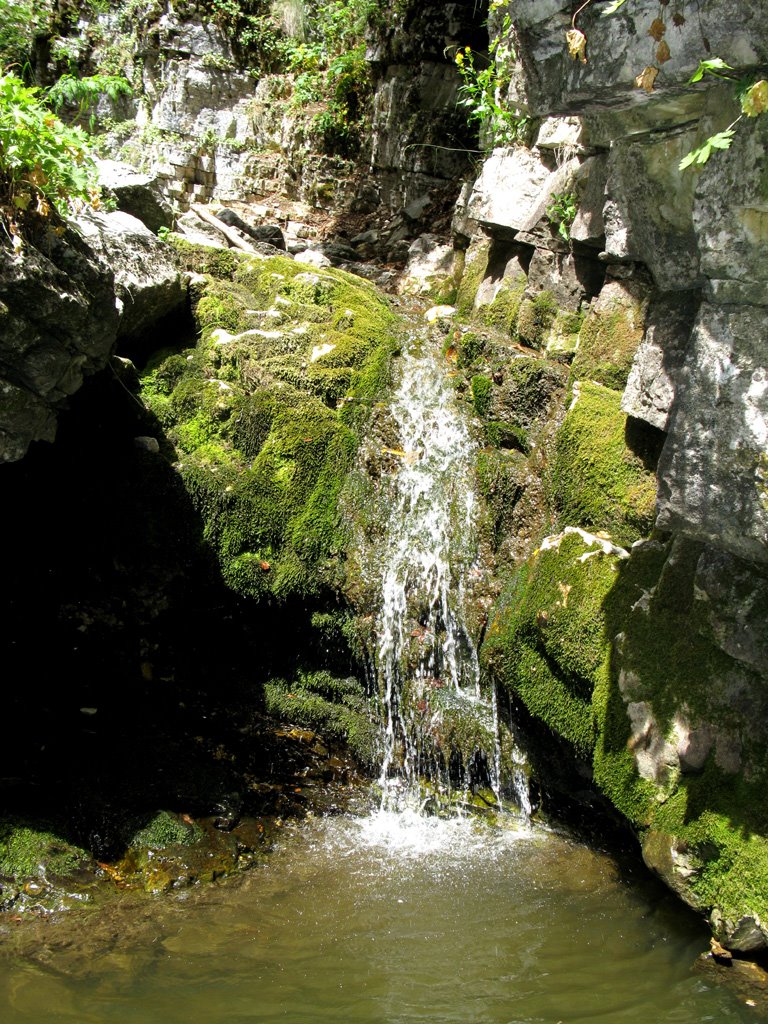 A brooklet along the track leading to the Mount Meta (taken on August 15, 2008) by Luca Terracciano