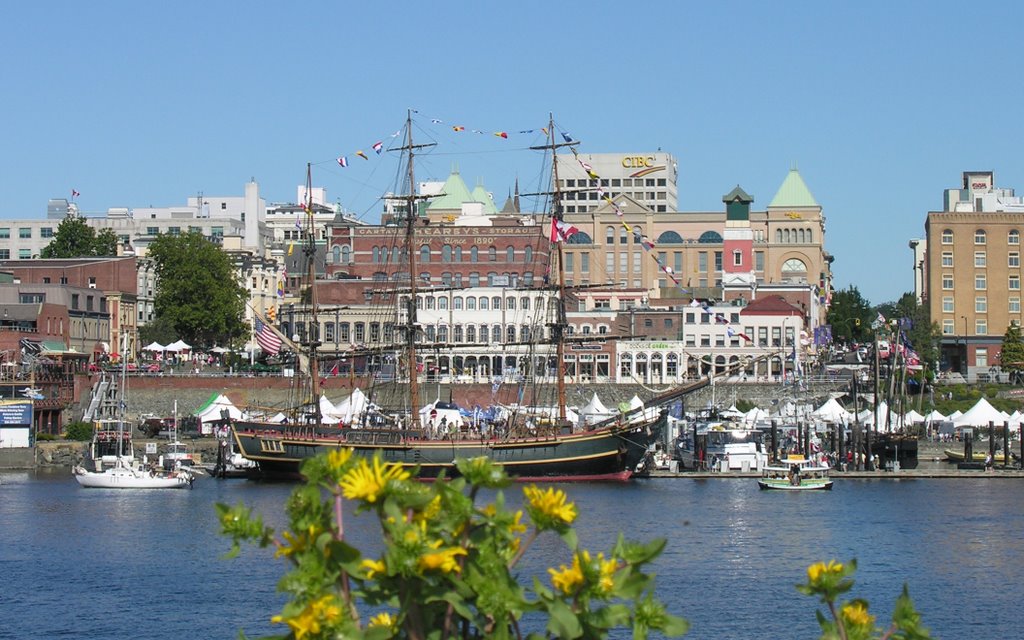 Ship viewing 49 (Bounty from across the harbour) by Cliff Jennings