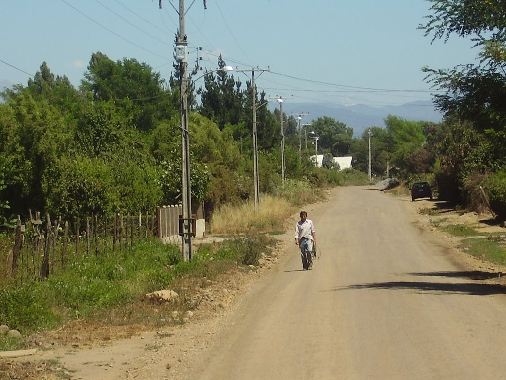 Caminos de Los Lagartos by Erasmo Rojas Zapata