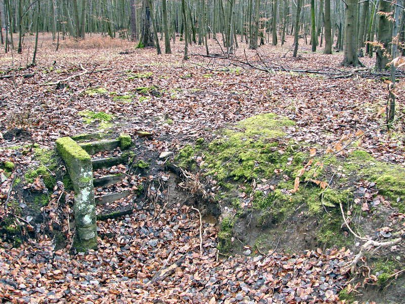 Pozostałości po restauracji „Großer Stern” by bartoldo