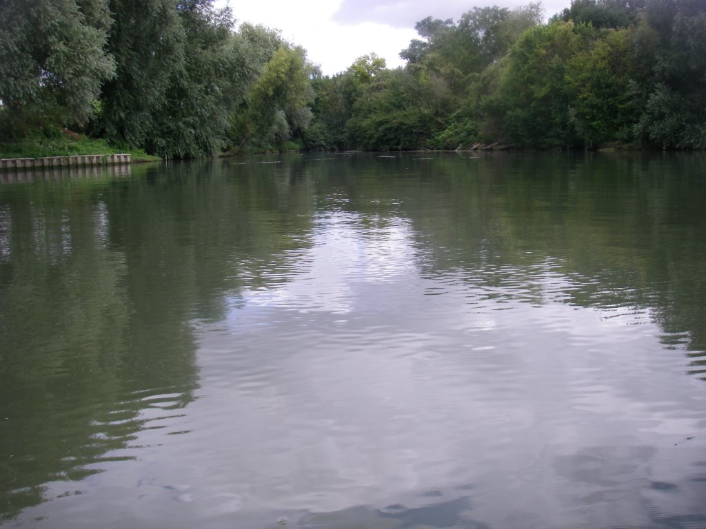 PARIS-ROUEN en kayak 7/453, amont de l'île La BORDE by papyrus