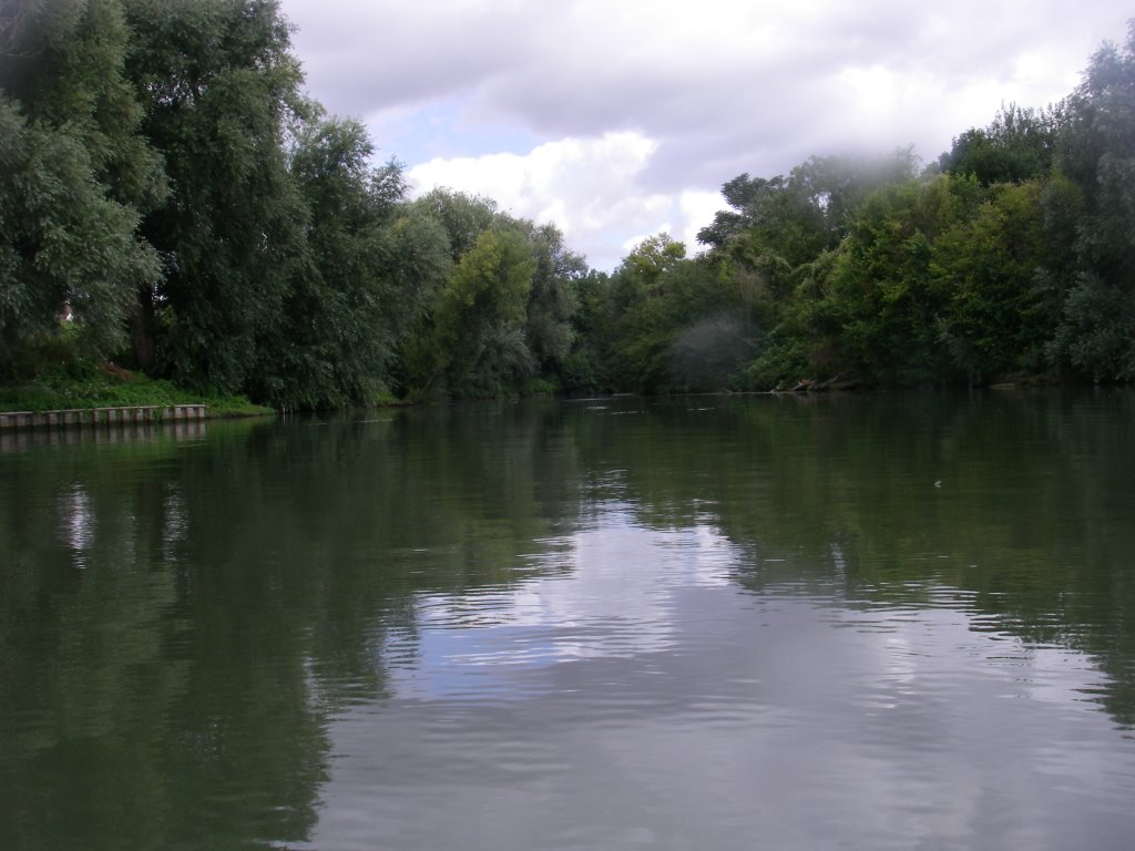 PARIS-ROUEN en kayak 8/453, amont de l'île La BORDE by papyrus