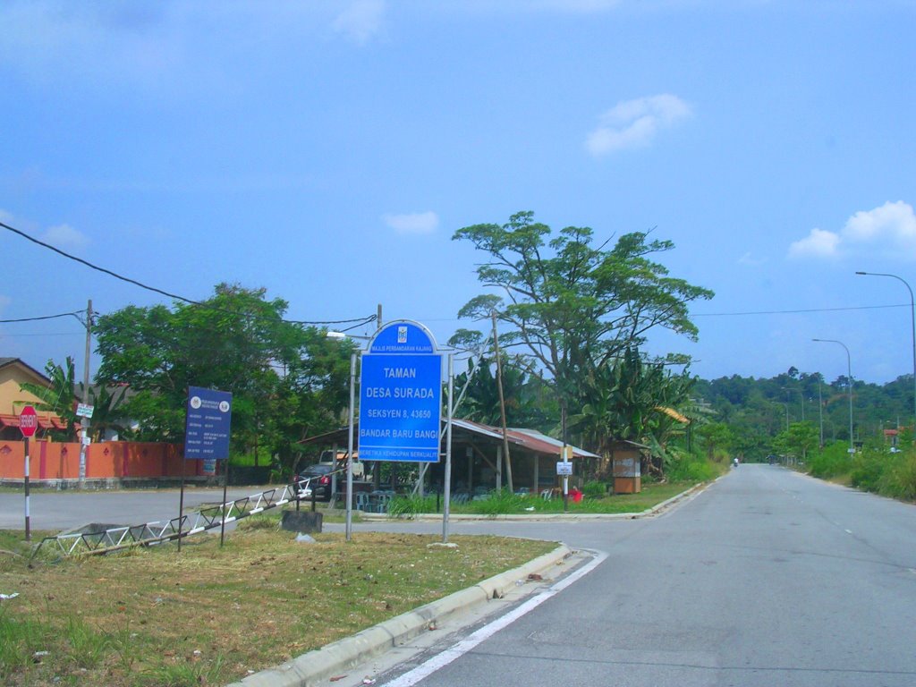 TAMAN DESA SURADA by mohd salim yunus