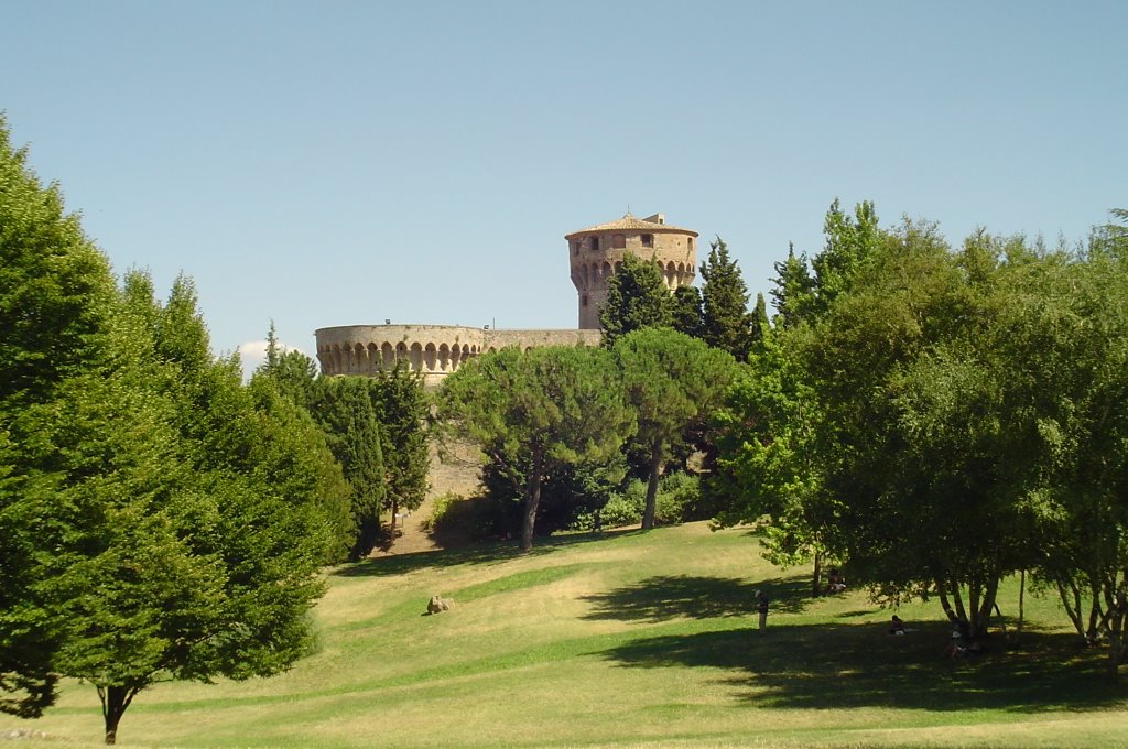 VOLTERRA AGO2008 LEO2 by ALE5590