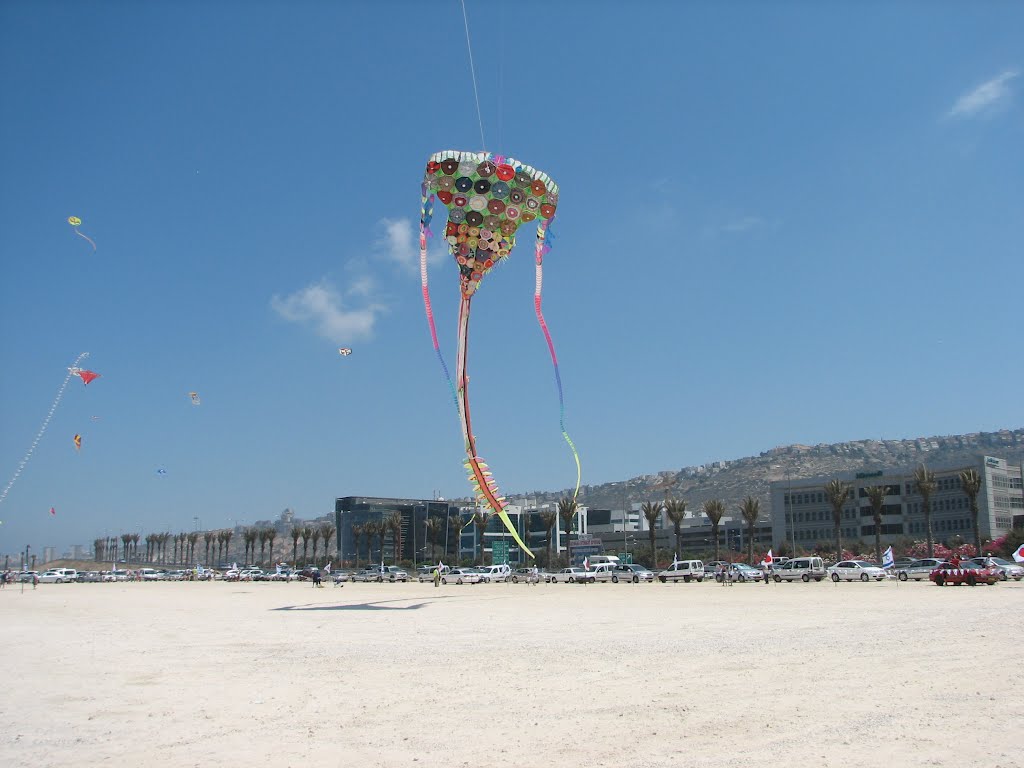 Haifa, A fertilization of kites of the southern beach Haifa 2 , Israel by Kobi Zilberstein