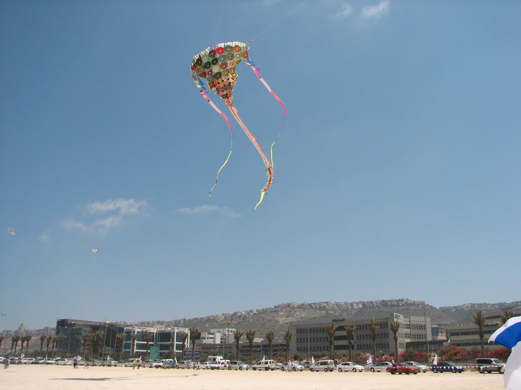 Haifa, A fertilization of kites of the southern beach Haifa , Israel by ‫יוסף אבן כסף‬‎