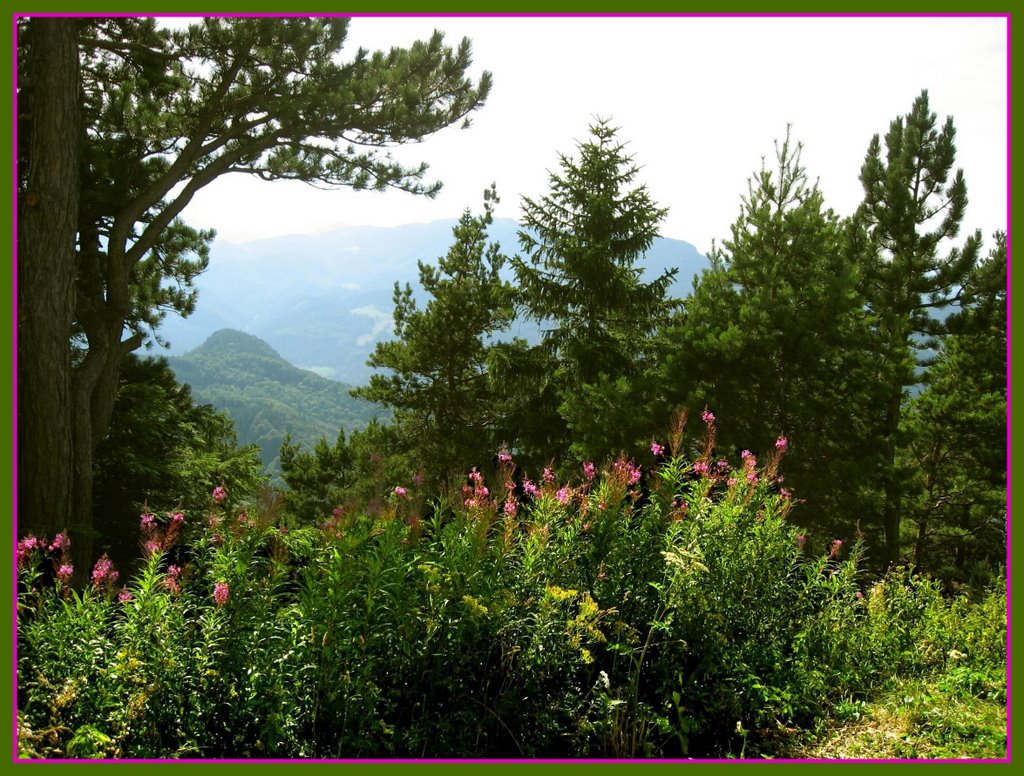 Hohe Wand by Erika R.