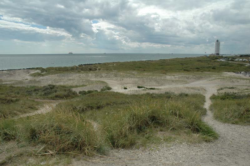 Skagen - Nordjylland - 2008 by Ole Holbech