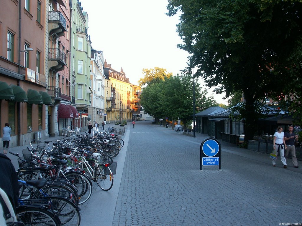 Uppsala by Norbert Kruk