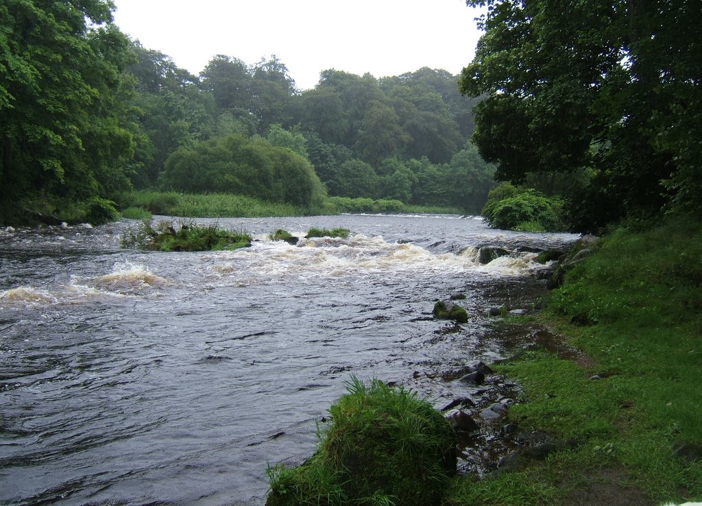 River Don by Judith,