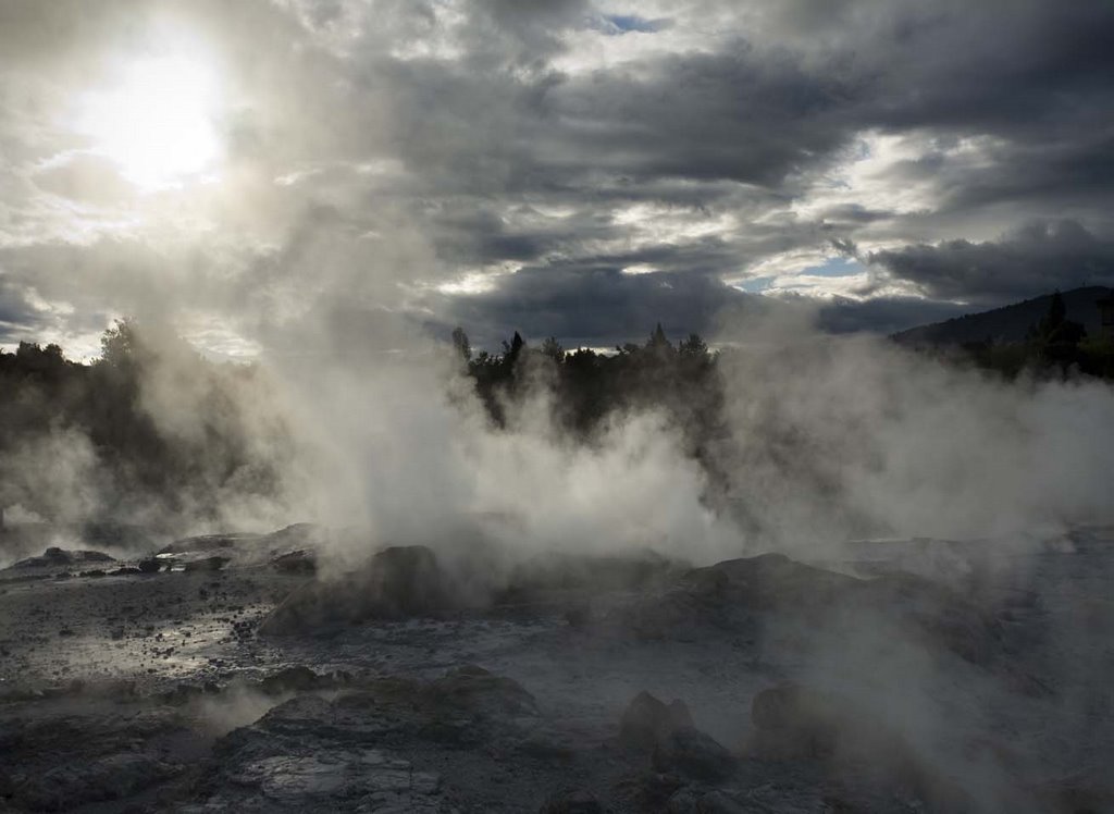 NZ, New Zealand, Rotorua, Whakarewarewa, Hot Springs by Omar Ingerslev