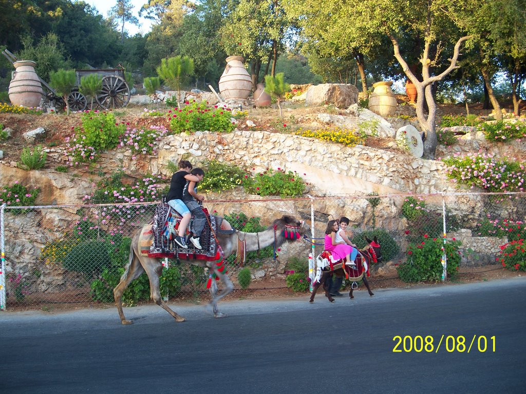 Camel and donkey ride Facing Mousa Palace by Youssef Badaoui