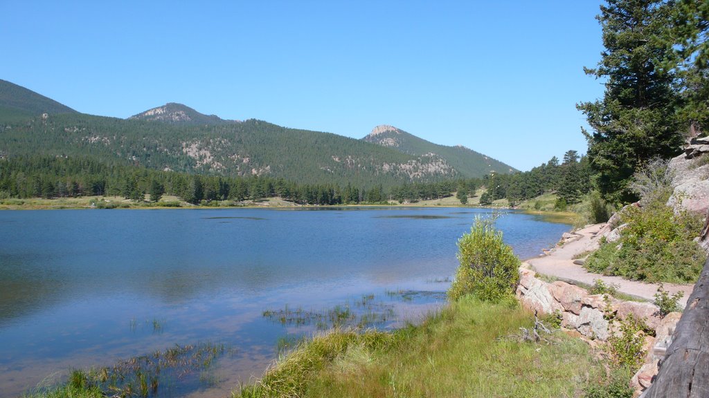 Lily Lake in Rocky Mountain National Park by usawest