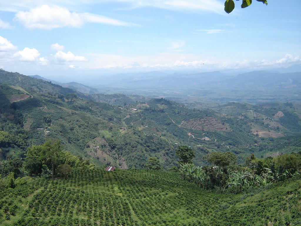 Risaralda caldas, vista hacia el valle by groncho