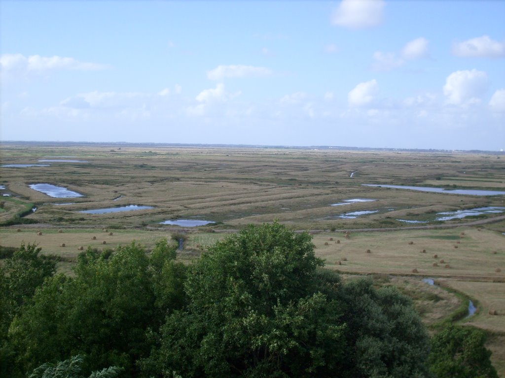 Les marais de Broue et Brouage by FrenchCobber