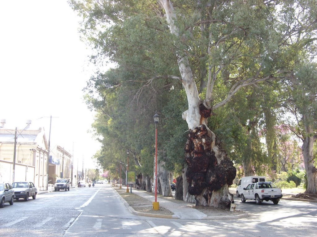 Calle Gorriti. Entrada al Parque Aguirre. by Rodolfo Roberto Zega