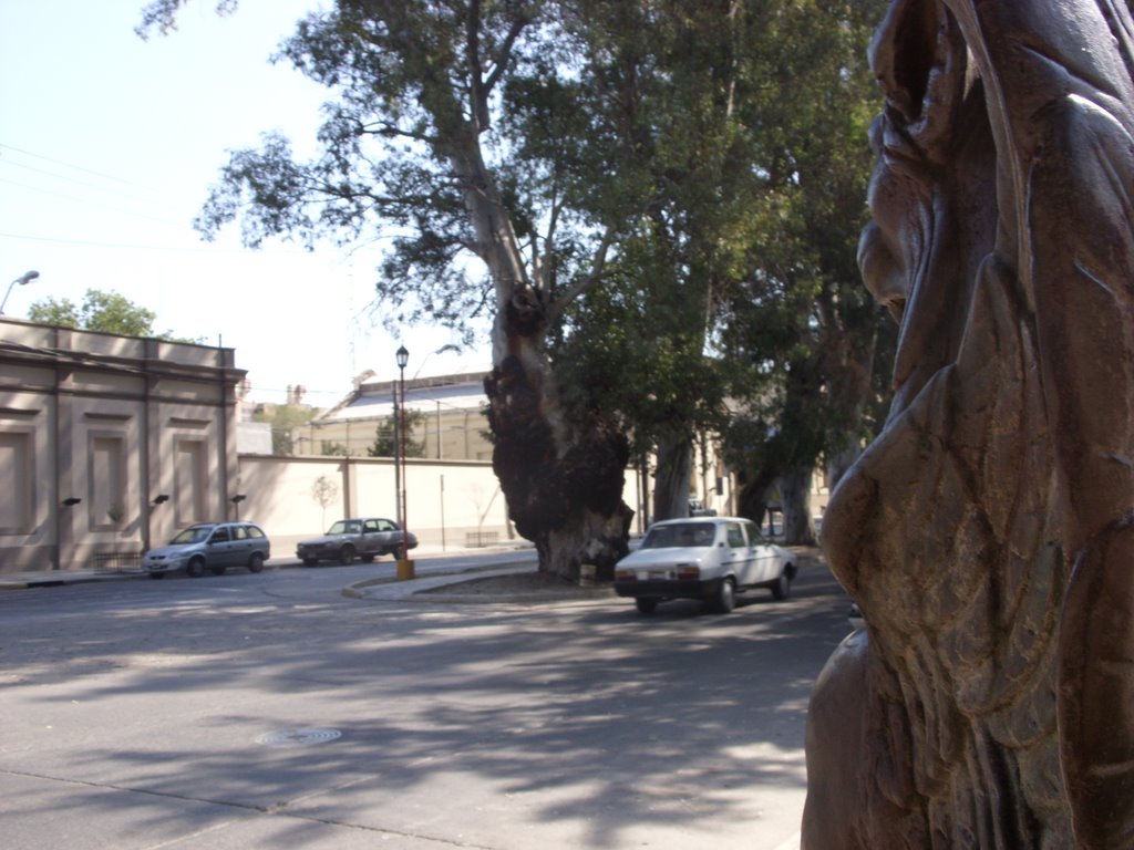 EL ARBOL Y LA PERGOLA. by Rodolfo Roberto Zega