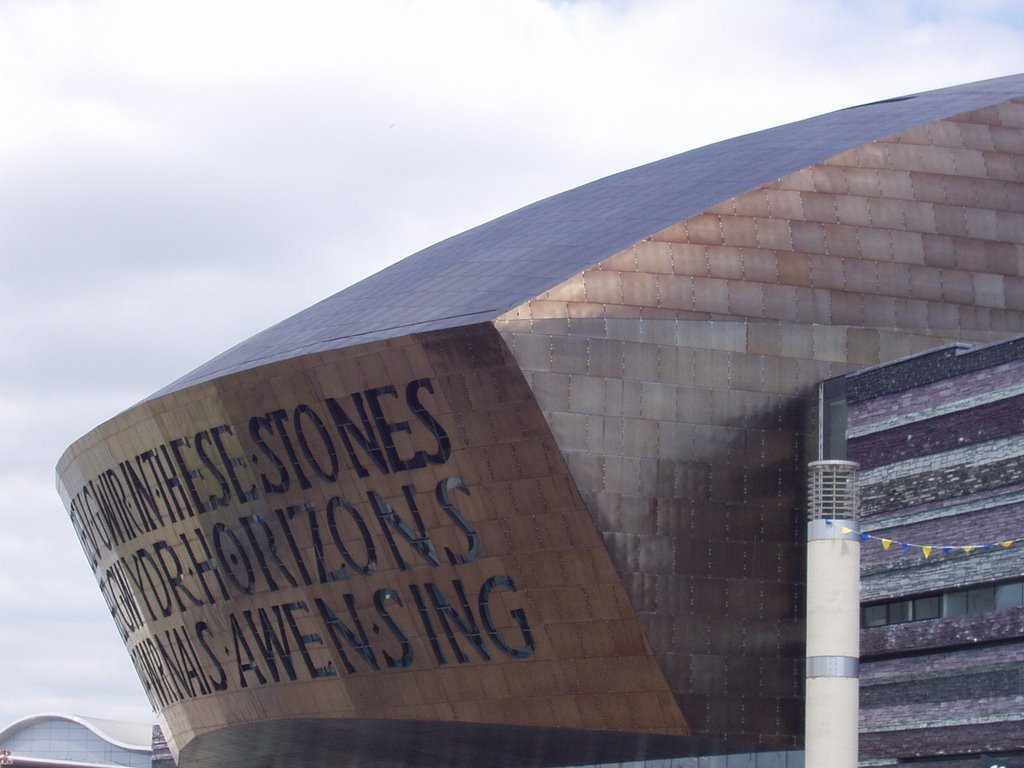 The Millenium Centre by chriswales