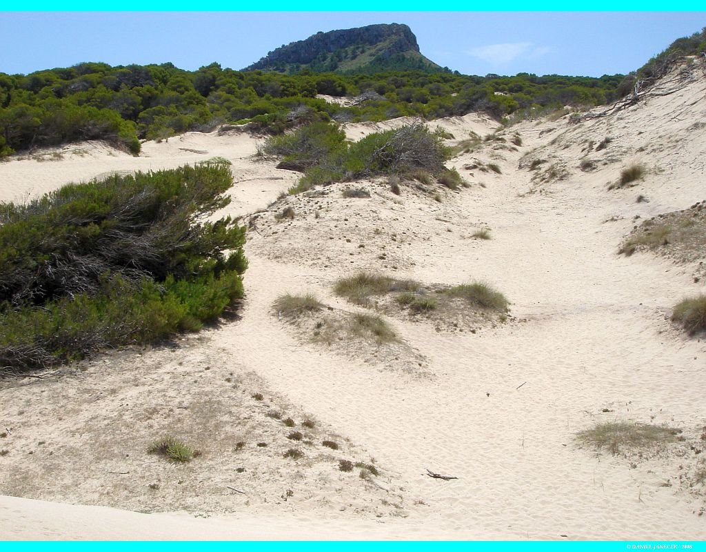 * AEOLIAN SANDS AT CALA MESQUIDA * by DJSHANDAN