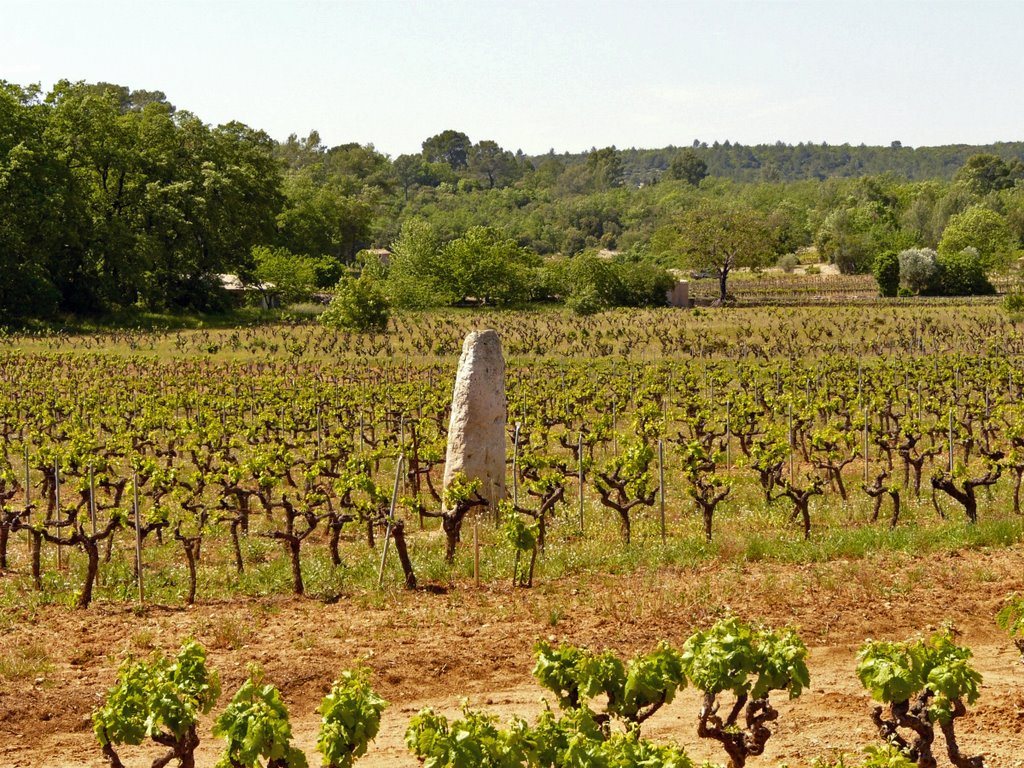 Cabasse: Peiro Plantado by makke