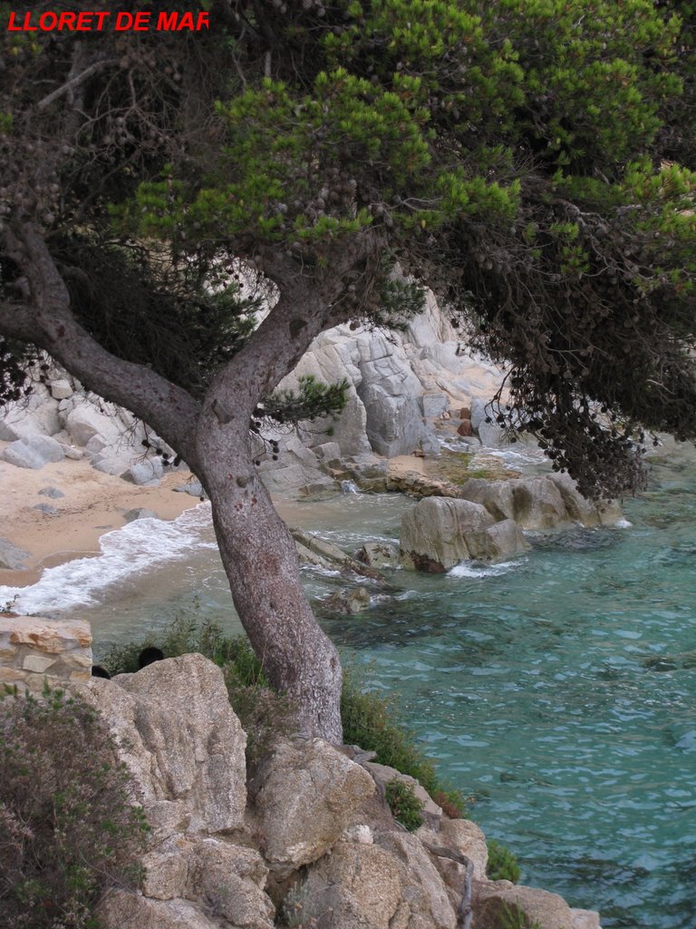 Lloret de mar by natlow