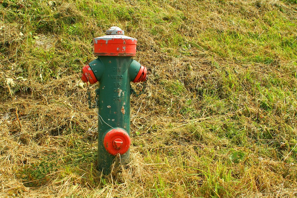 Hydrant by Der SIGGY