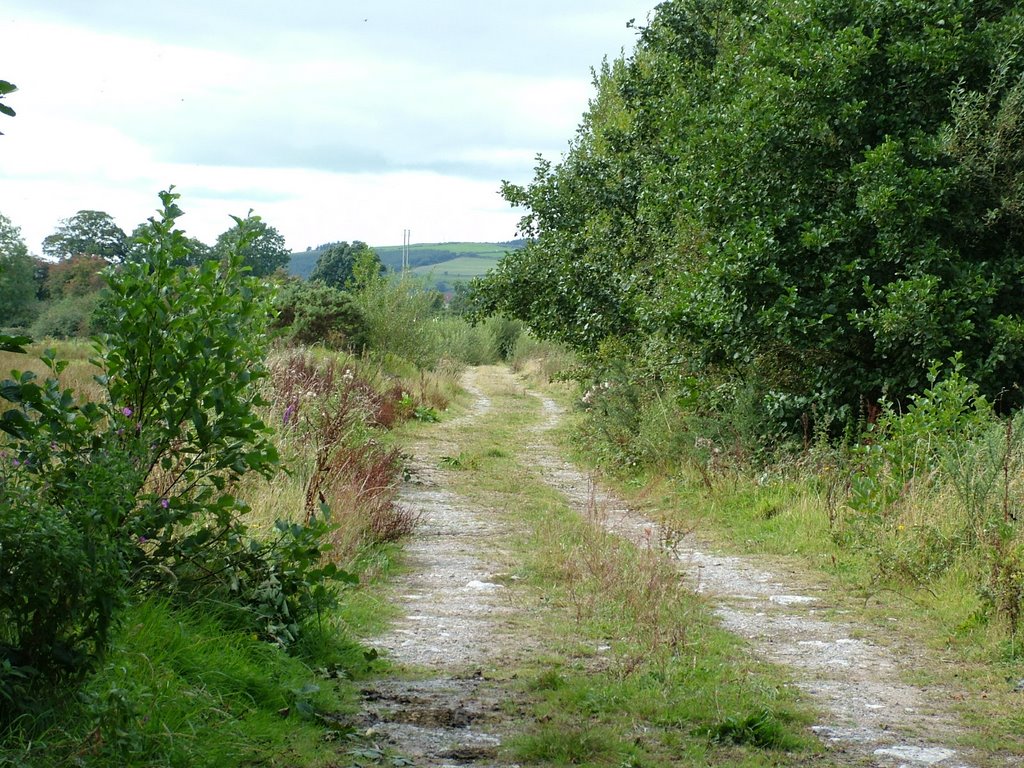 Cork Macroom Railway, Maglin, Ballincollig by powerpop