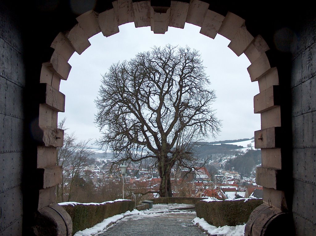 Castle Door by Fernando Rangel