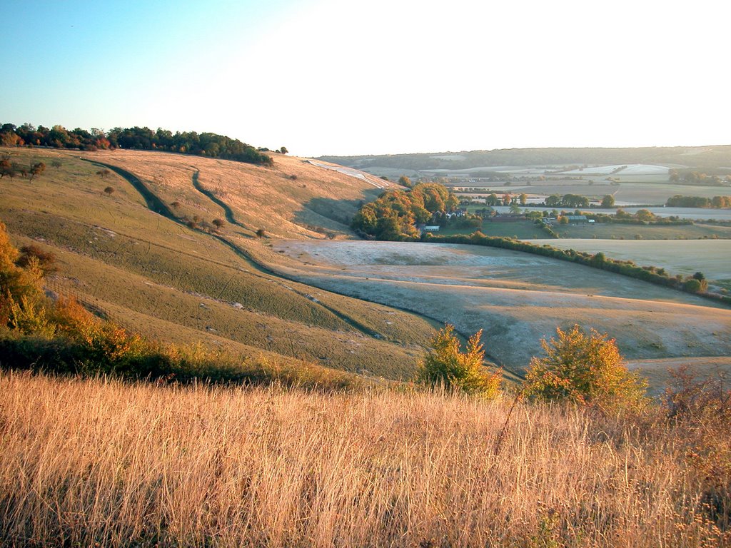 The Dunstable Downs, near Whipsnade by Geoff Spivey