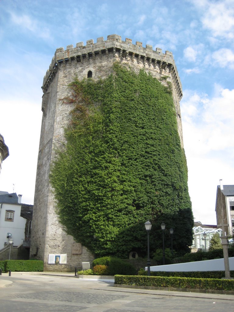 Torre de los Andrade by José Palau Domenech