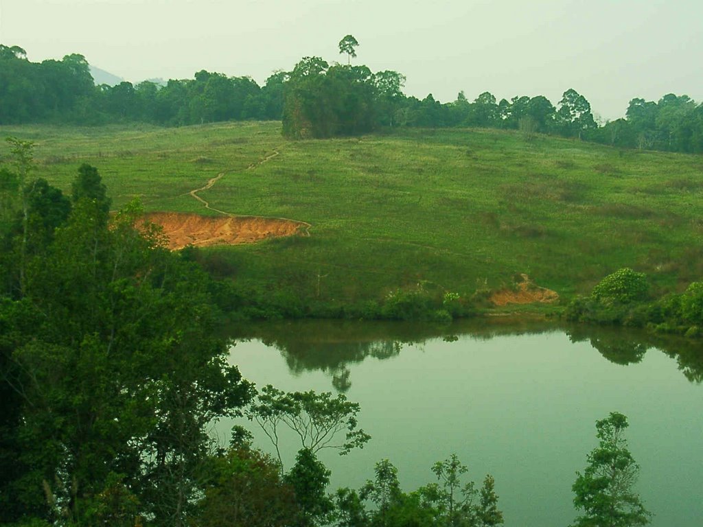 Salt-lick an pond - Khao Yai National Park by world of pictures by KlausH