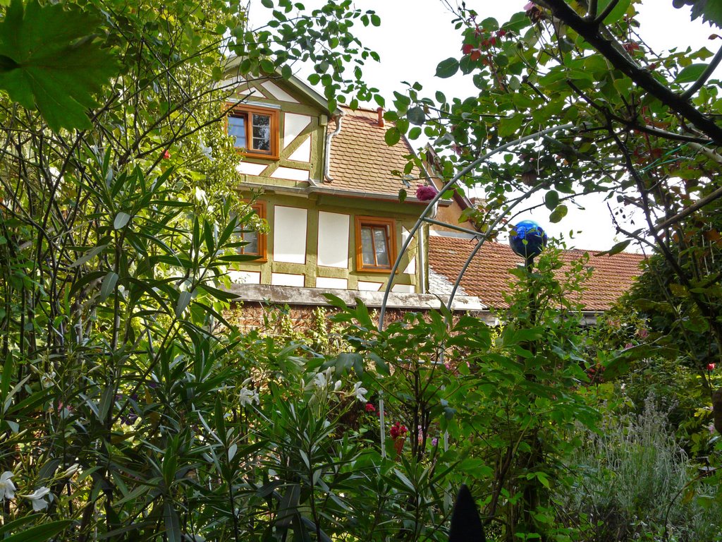 Garten in Marburg-Weidenhausen by Susanne Rommel