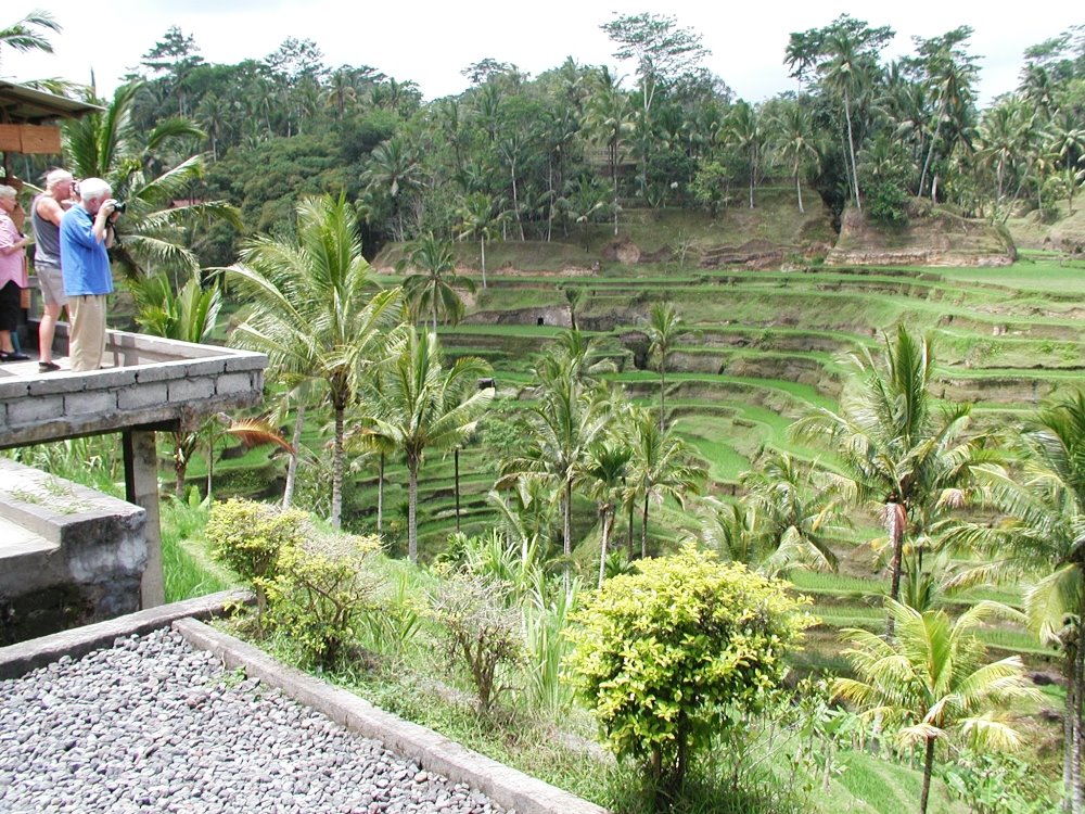 Indonesië, Bali, ricefields by Leo van Gog