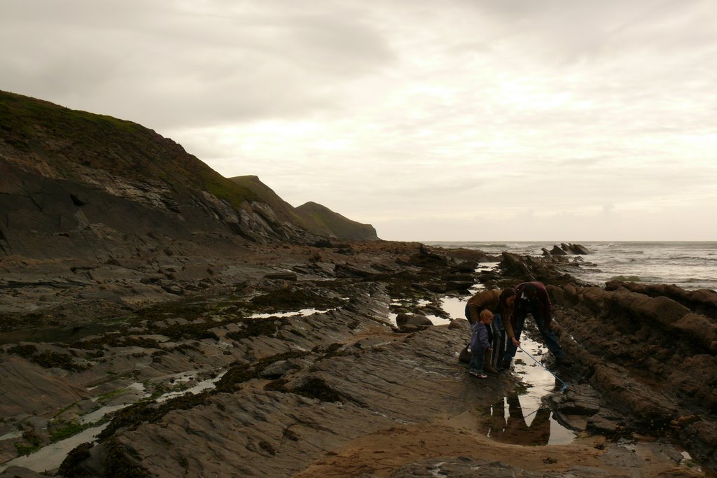 Crackington haven rock pools by jay mills