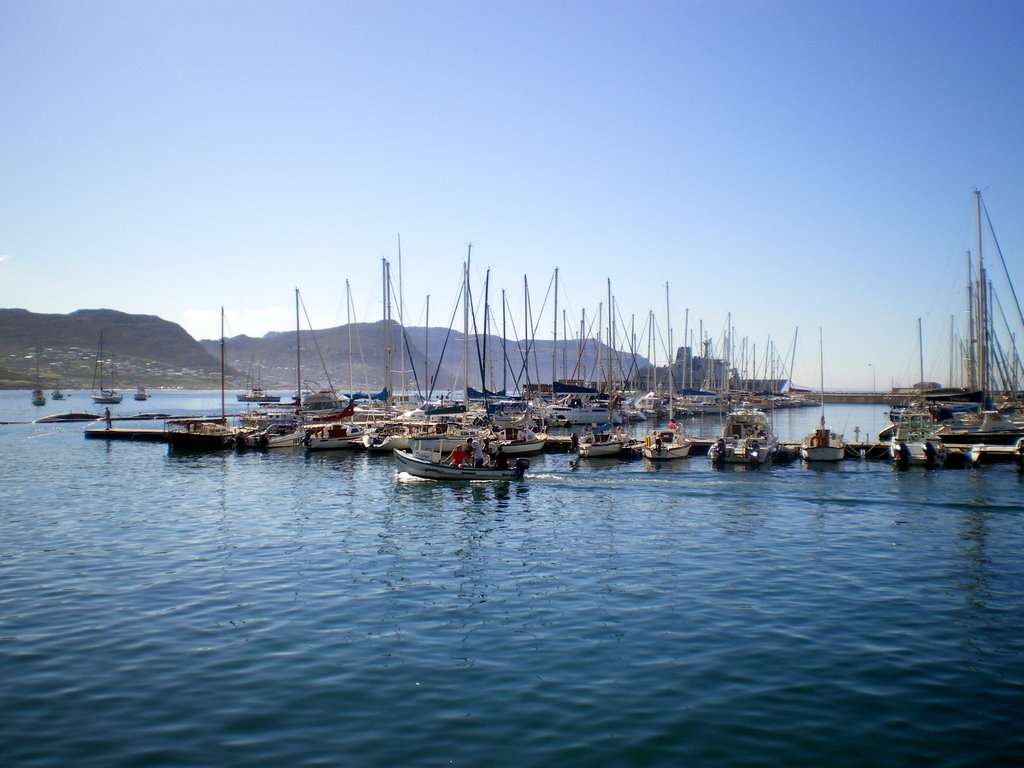 A perfect day in Simonstown by Maria Wagener