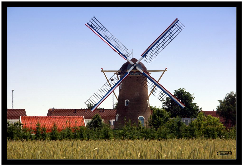 Korenmolen Den Hout Oosterhout Nb NL by bert-hama